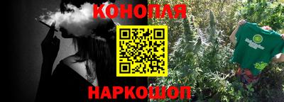 гидра Новозыбков