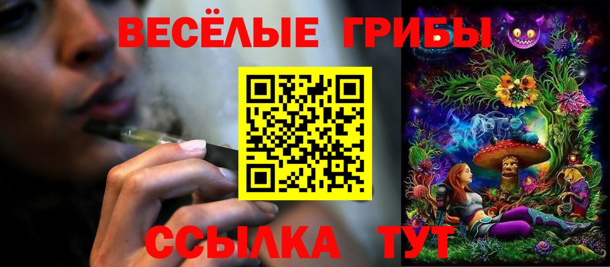 Псилоцибиновые грибы Magic Shrooms  Псилоцибиновые грибы Cubensis  Сланцы  купить наркотик  Вход с VPN 